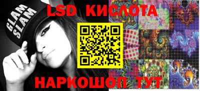 прущие грибы Новозыбков