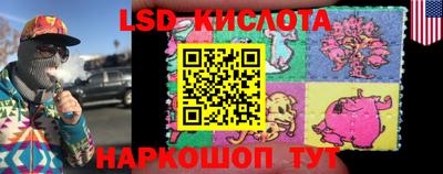 прущие грибы Новозыбков