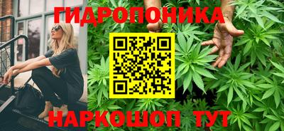 прущие грибы Новозыбков
