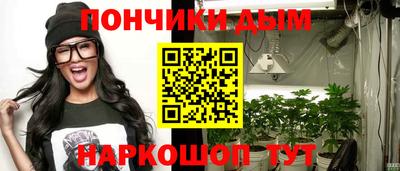 прущие грибы Новозыбков