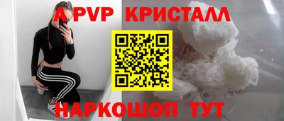 прущие грибы Новозыбков