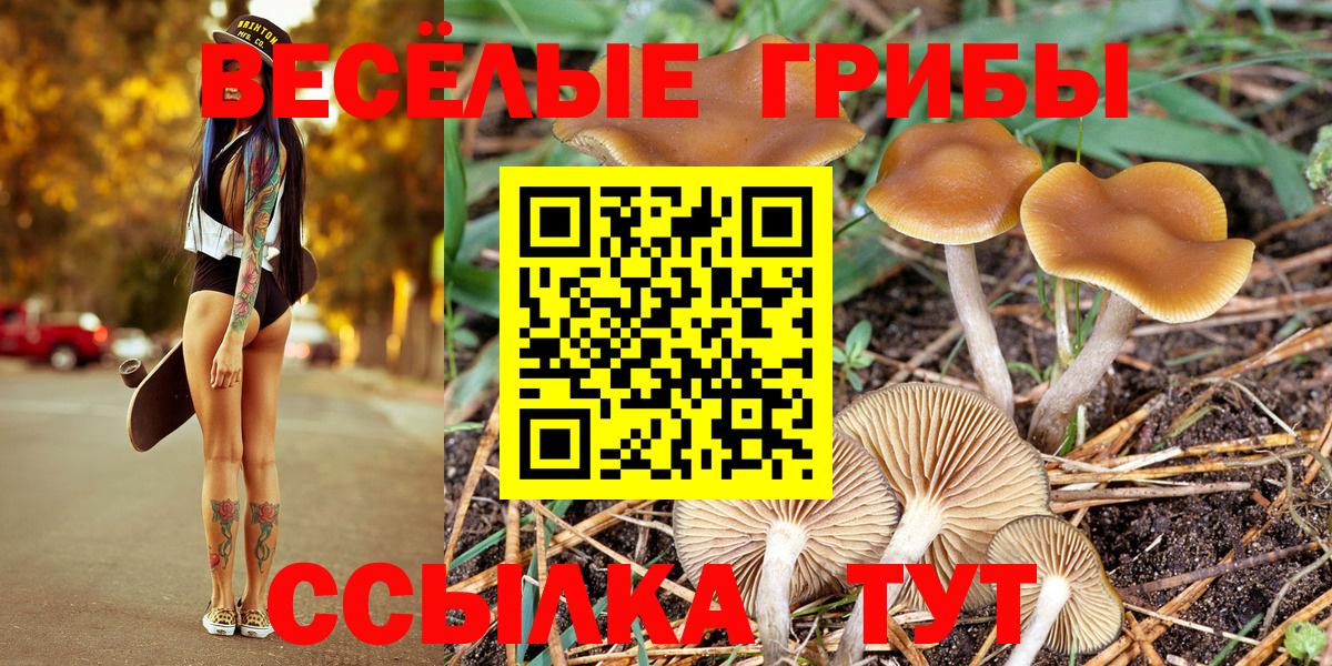Галлюциногенные грибы прущие грибы  Вход с VPN  Псилоцибиновые грибы Cubensis  Тверь 
